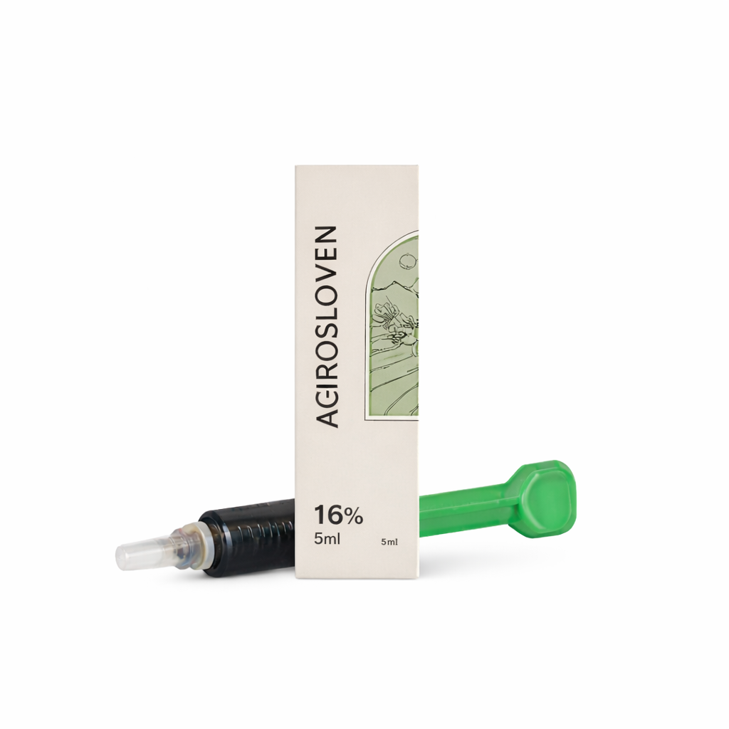 ChatGPT Image Feb 7 2026 11 01 12 AM