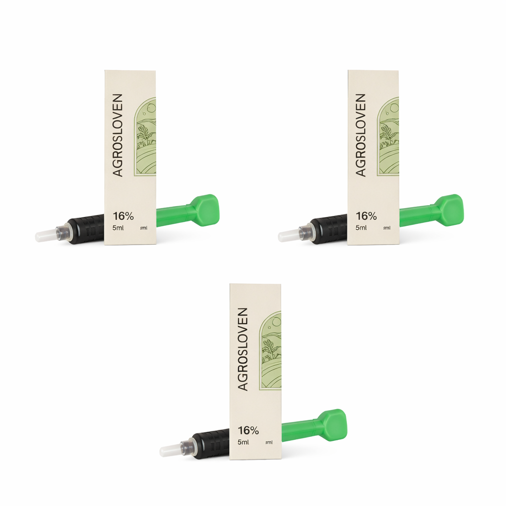 ChatGPT Image Feb 7 2026 11 05 40 AM