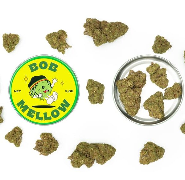 bob melow