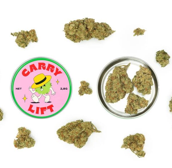 carry lift 1